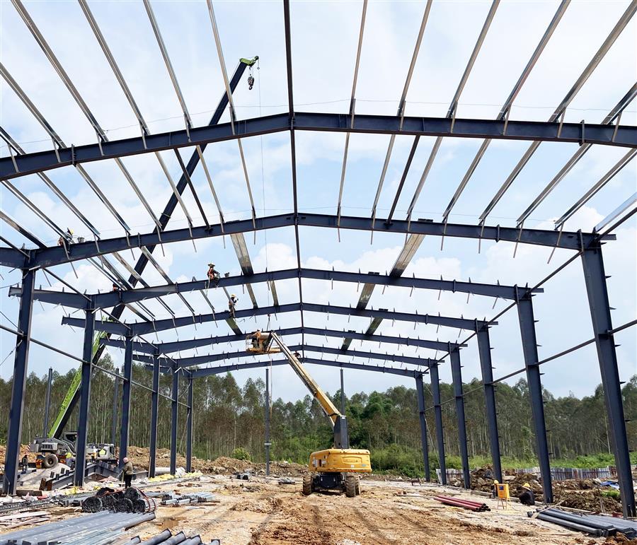 AG Club | The Originator of Live Casino