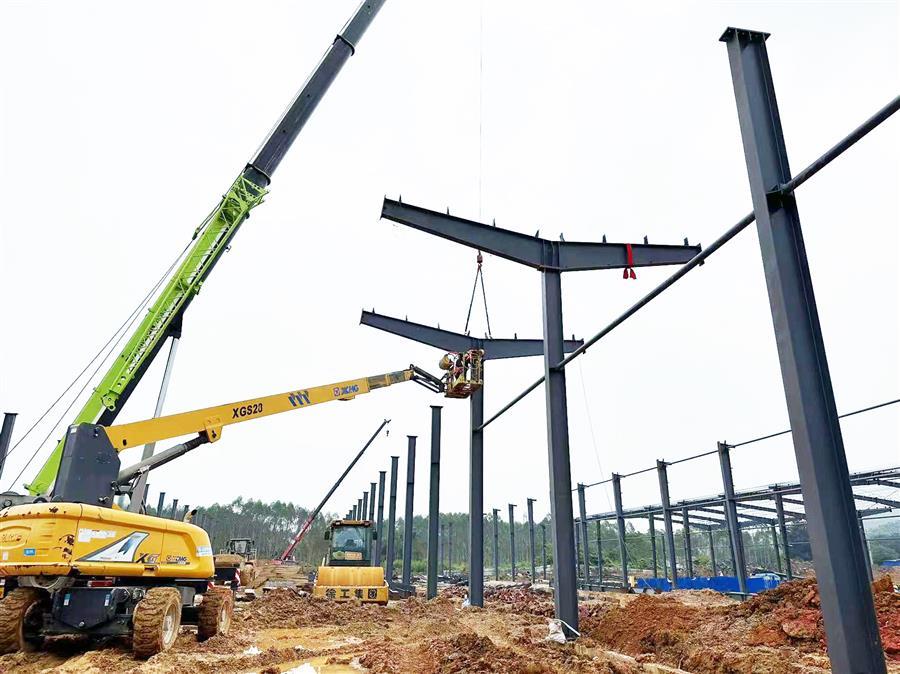 AG Club | The Originator of Live Casino