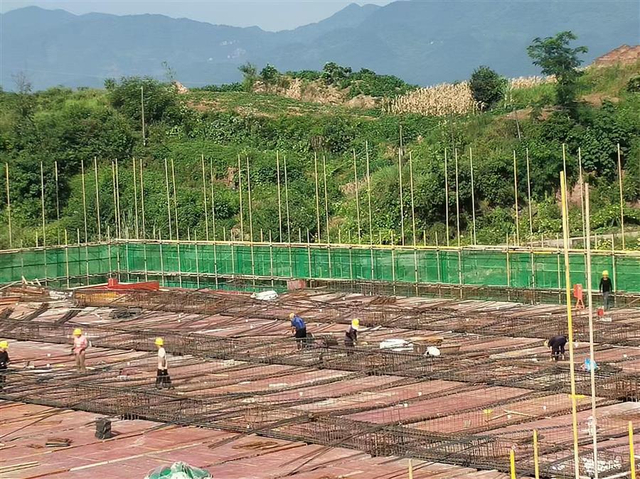 AG Club | The Originator of Live Casino