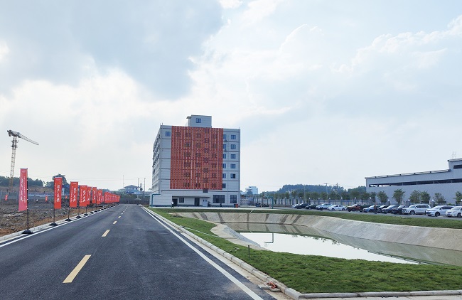 AG Club | The Originator of Live Casino