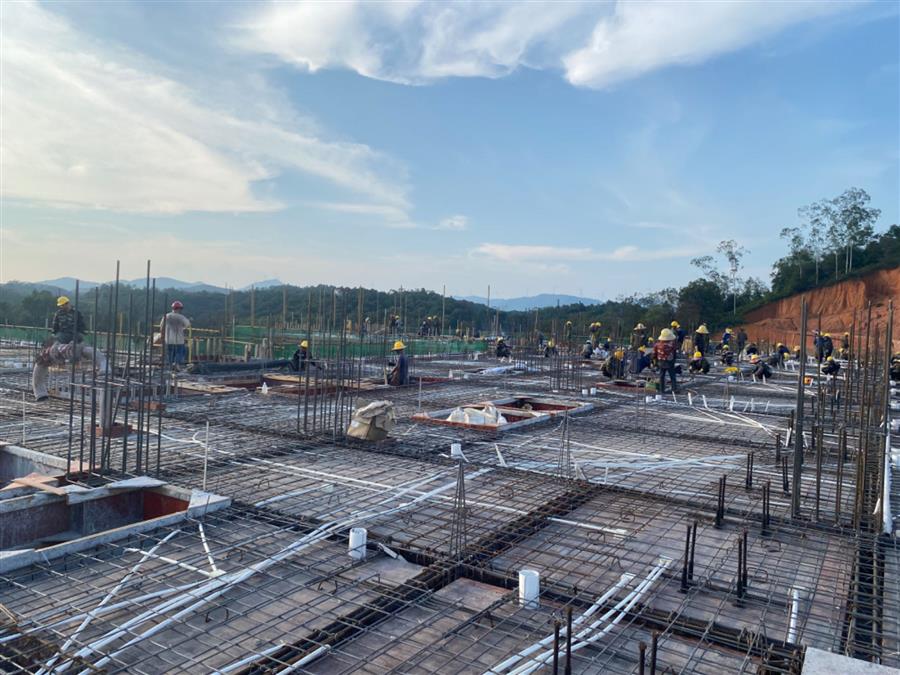 AG Club | The Originator of Live Casino