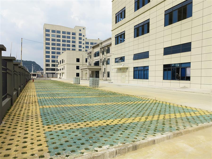 AG Club | The Originator of Live Casino