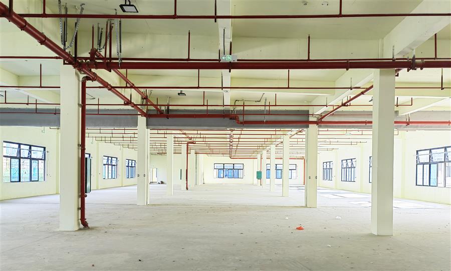 AG Club | The Originator of Live Casino