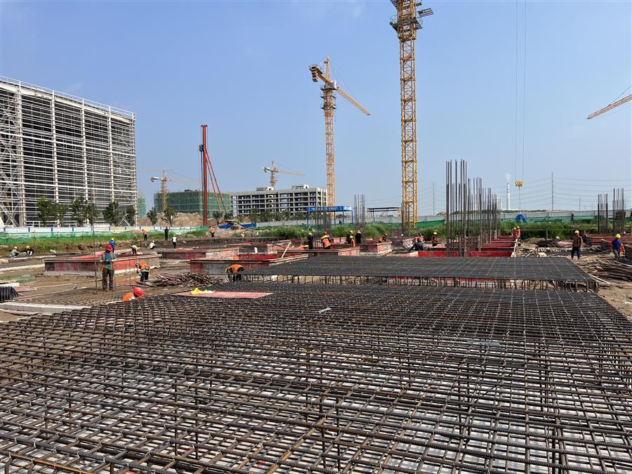 AG Club | The Originator of Live Casino