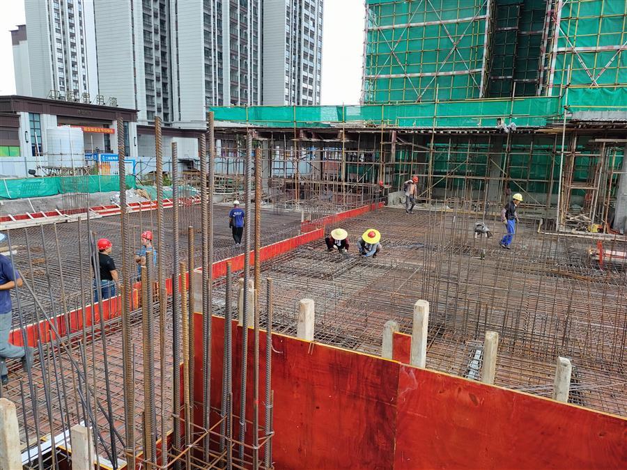 AG Club | The Originator of Live Casino