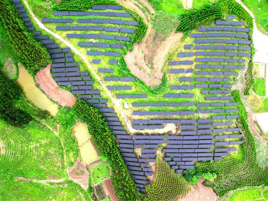 AG Club | The Originator of Live Casino