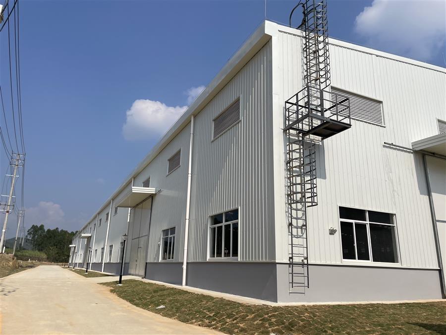 AG Club | The Originator of Live Casino