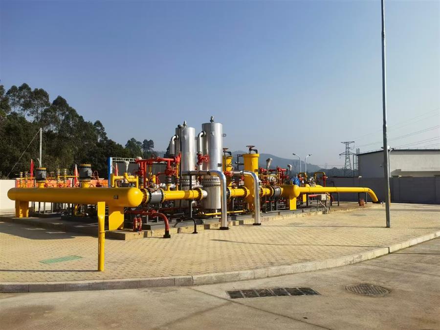 AG Club | The Originator of Live Casino