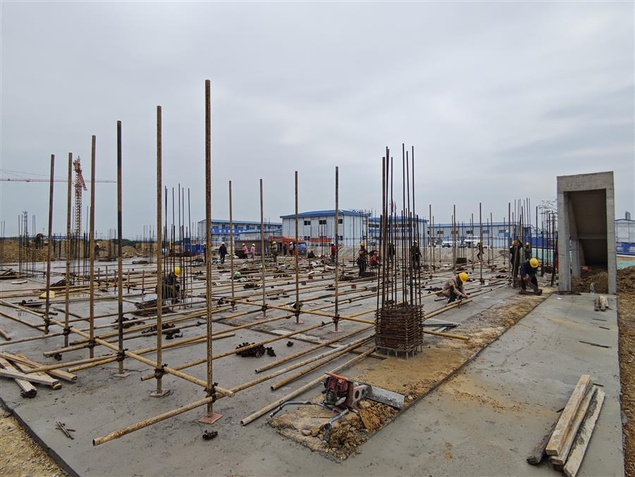 AG Club | The Originator of Live Casino