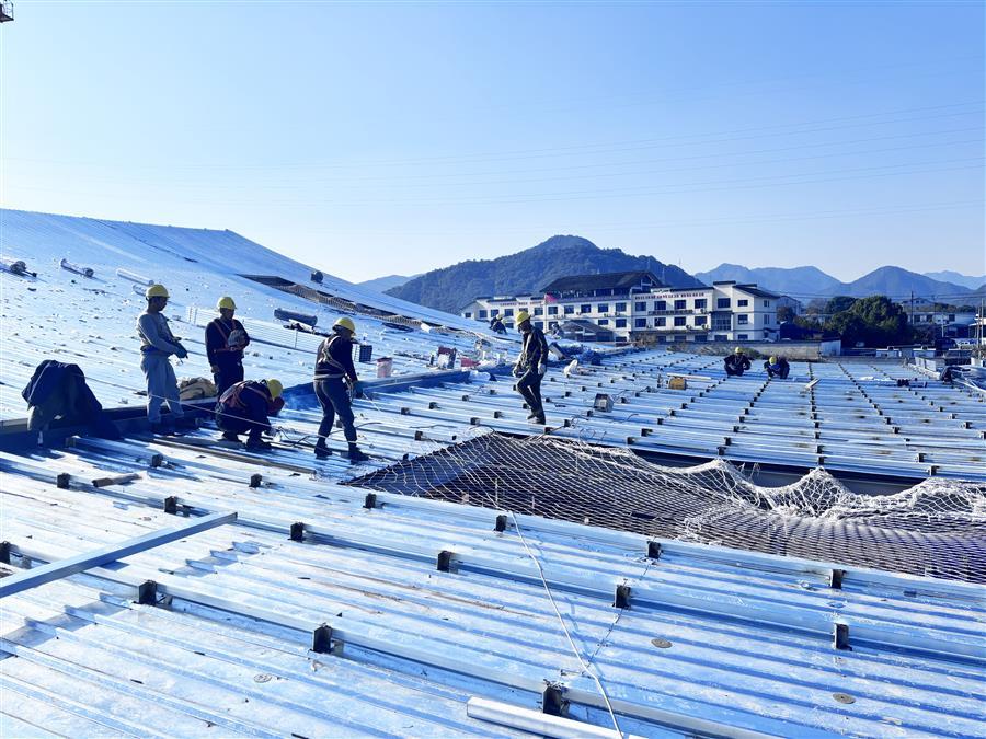 AG Club | The Originator of Live Casino