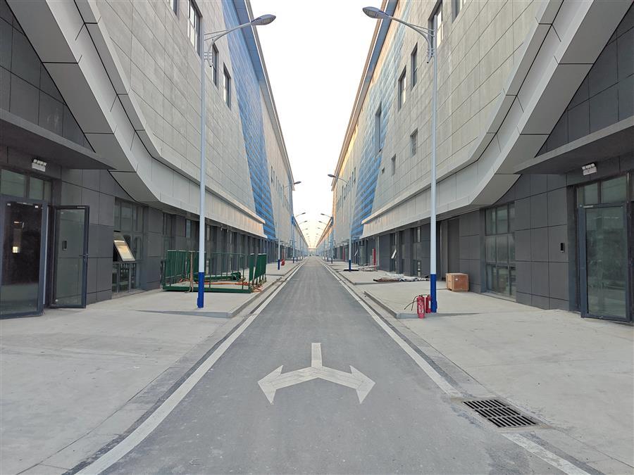 AG Club | The Originator of Live Casino