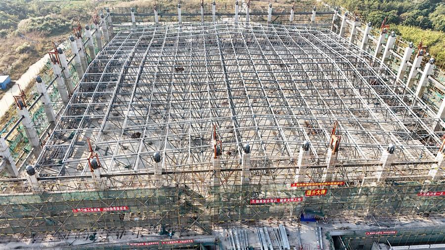 AG Club | The Originator of Live Casino