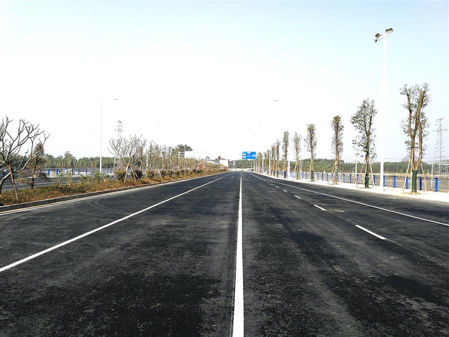 AG Club | The Originator of Live Casino