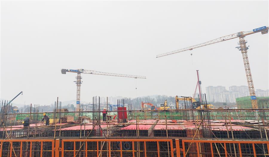 AG Club | The Originator of Live Casino