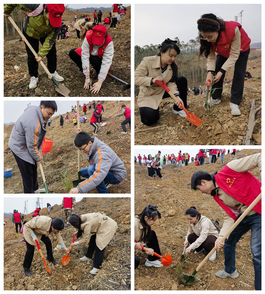 AG Club | The Originator of Live Casino