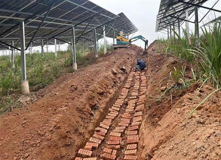 ����սһ���ȡ���̿��ź졿ұ�������ֹ�˾��Ŀ�����ƽ���������