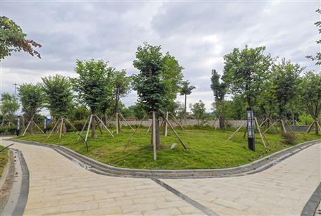 �������������� �����Ѽ������Ž�ɭ�ֹ�԰ͣ������Ŀͨ���깤����